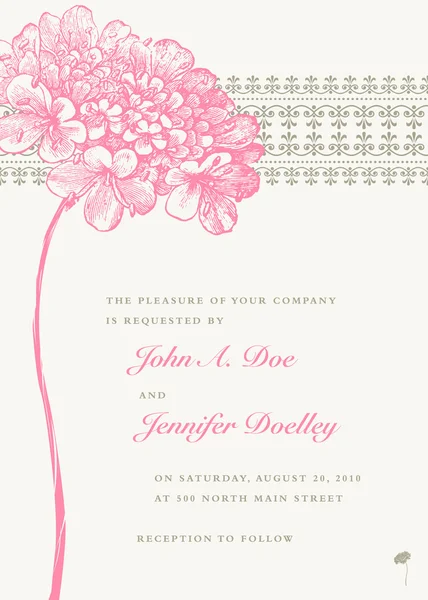 Vector Pink Flower Wedding Frame and Background by Nathan Stitt Stock 