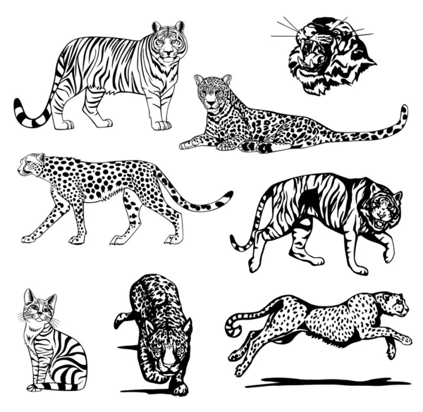 Tiger+silhouette+vector