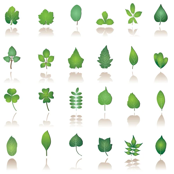 Tree leafs and nature icons
