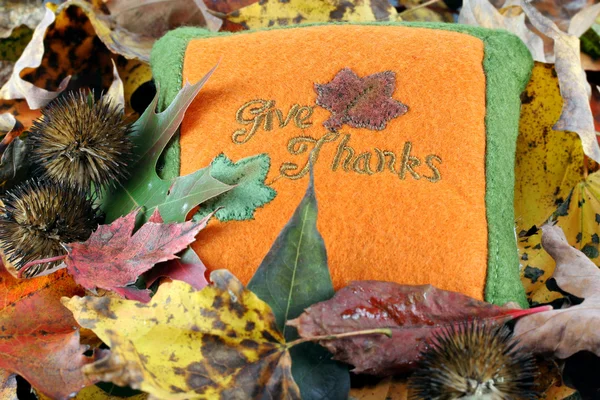 Give Thanks pillow in fall leaves