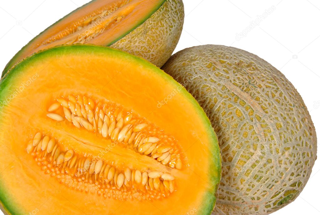 Cantaloup Melon