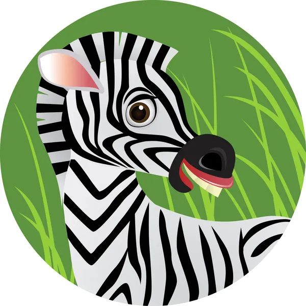 Cartoon Pictures Of Zebras. Stock Photo: Zebra cartoon