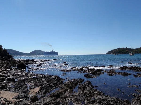 bay of zihuatanejo with bird playing in shore and cruiseship in