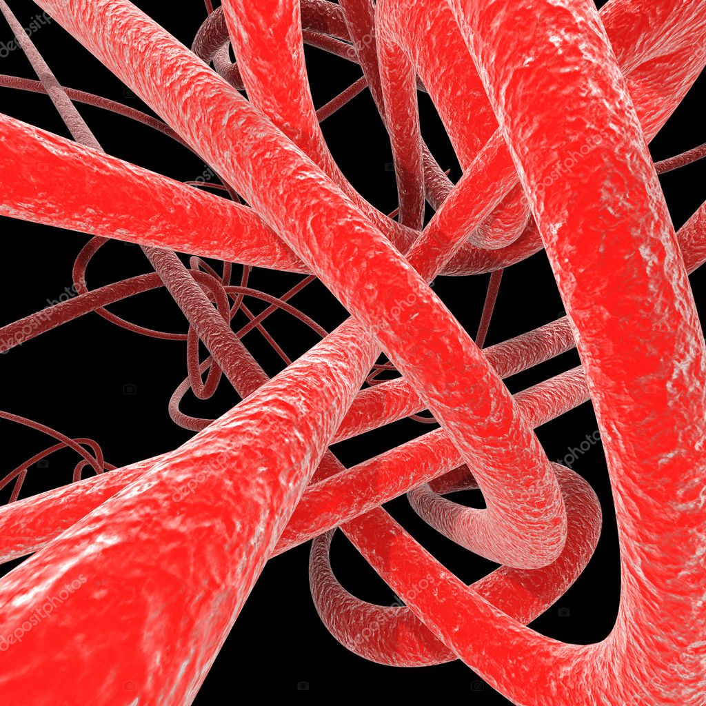 Human veins โ Stock Photo ยฉ Yakobchuk #4775470 Biology Diagrams