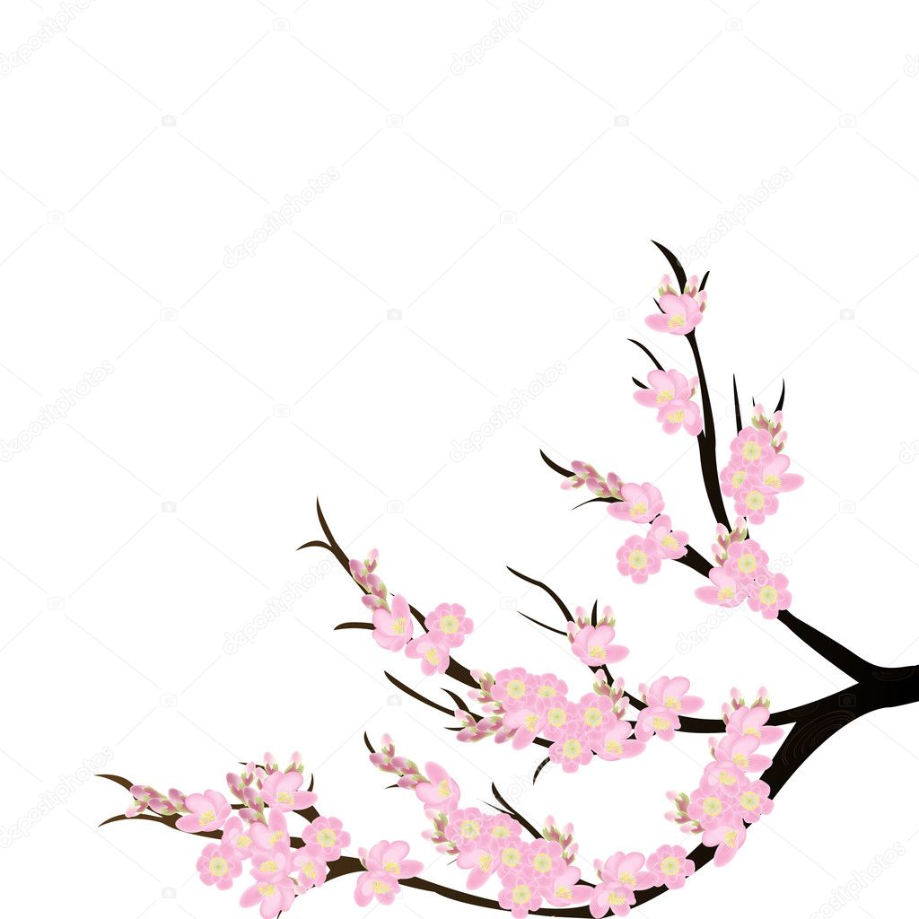 Background Cherry Blossom