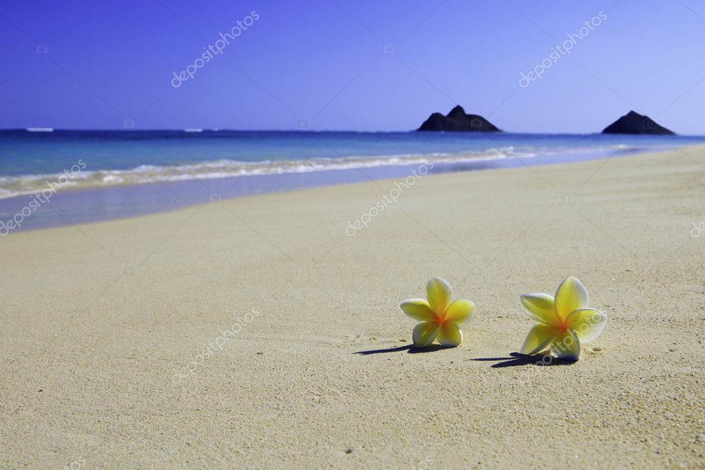 a sandy beach