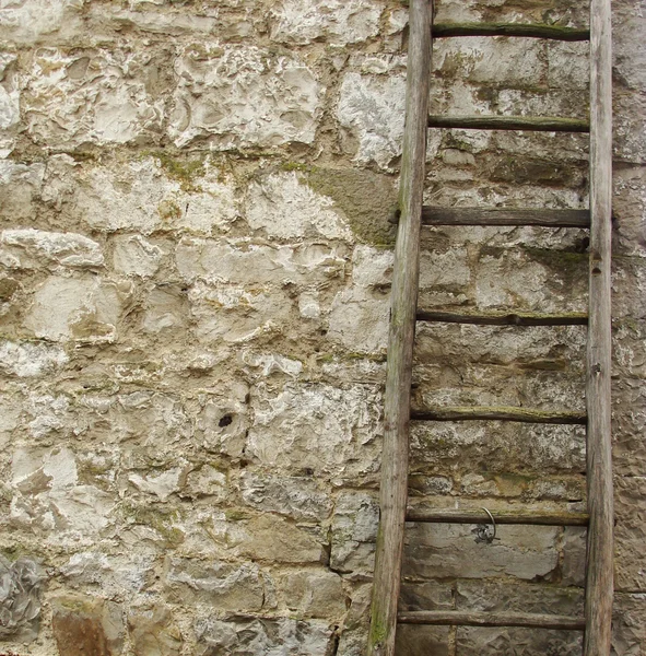 Vintage wooden ladder in front of an old stone wall