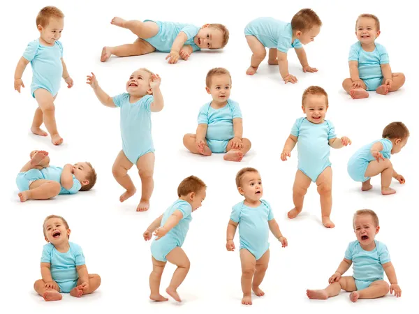 Collection of a baby boy\'s behavior