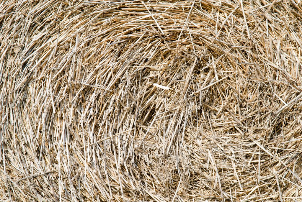 Straw Of Hay