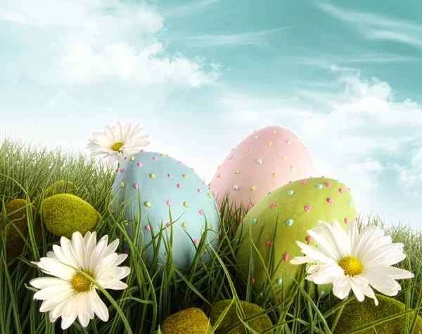 Decorated easter eggs in the grass with daisies