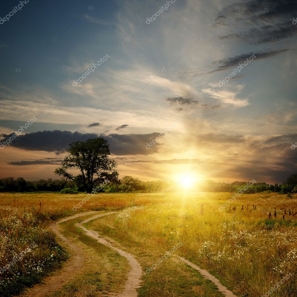 Road To Sunset