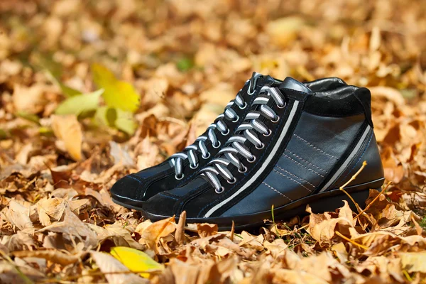 Pair of black female sport shoes in autumn foliage