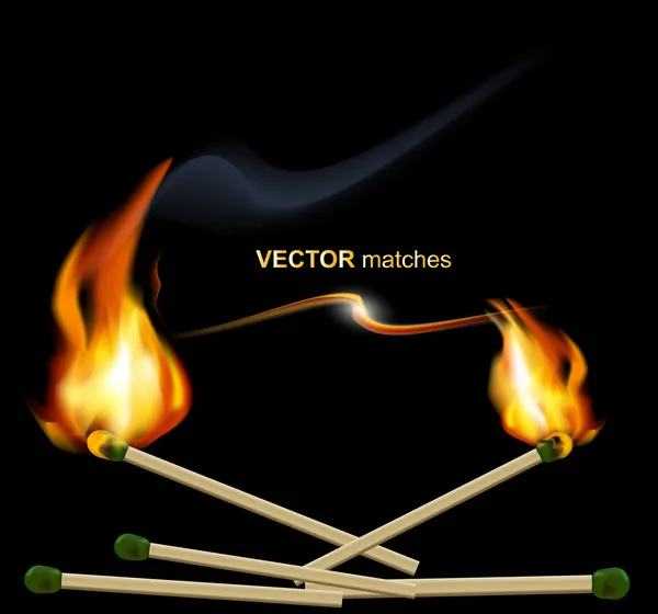 Vector lighted match on a black background