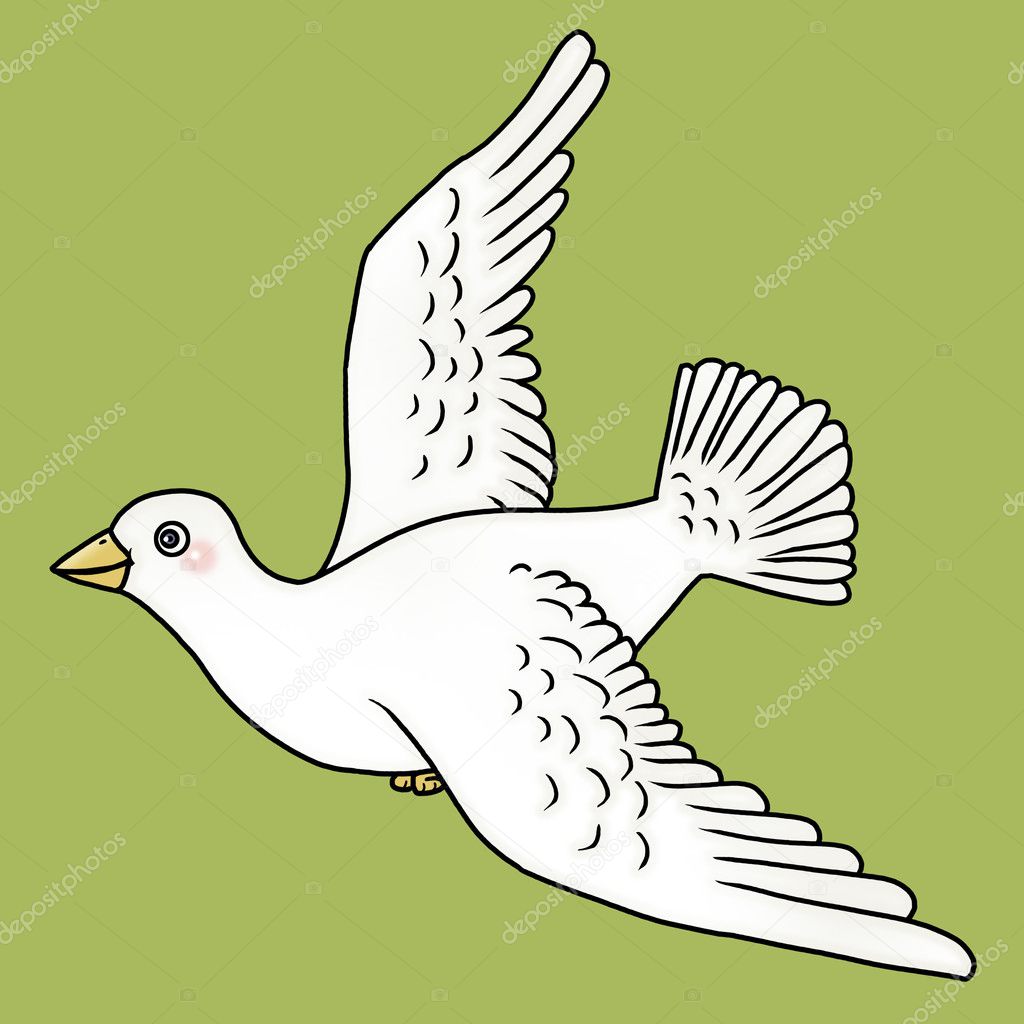 Dove Cartoon Image