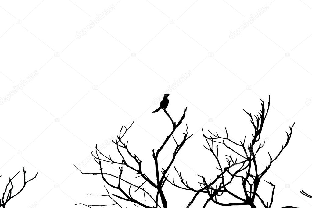 prostituee mont saint aignan