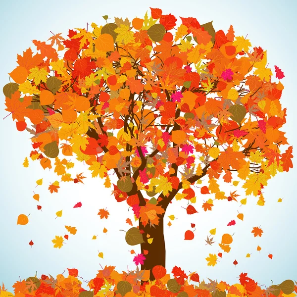 Autumn Tree Picture