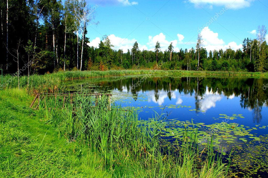 forest lakes sex chat Watch 000's of real people naked & having sex live on webcam 24/7 100% free to watch, chat & broadcast no-sign up & no registration required. forest lakes sex chat Watch 000's of real people naked & having sex live on webcam 24/7 100% free to watch, chat & broadcast no-sign up & no registration required.