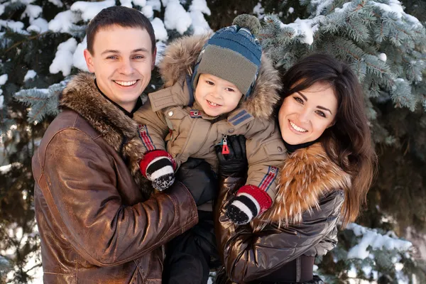 Attractive family having fun in a winter park