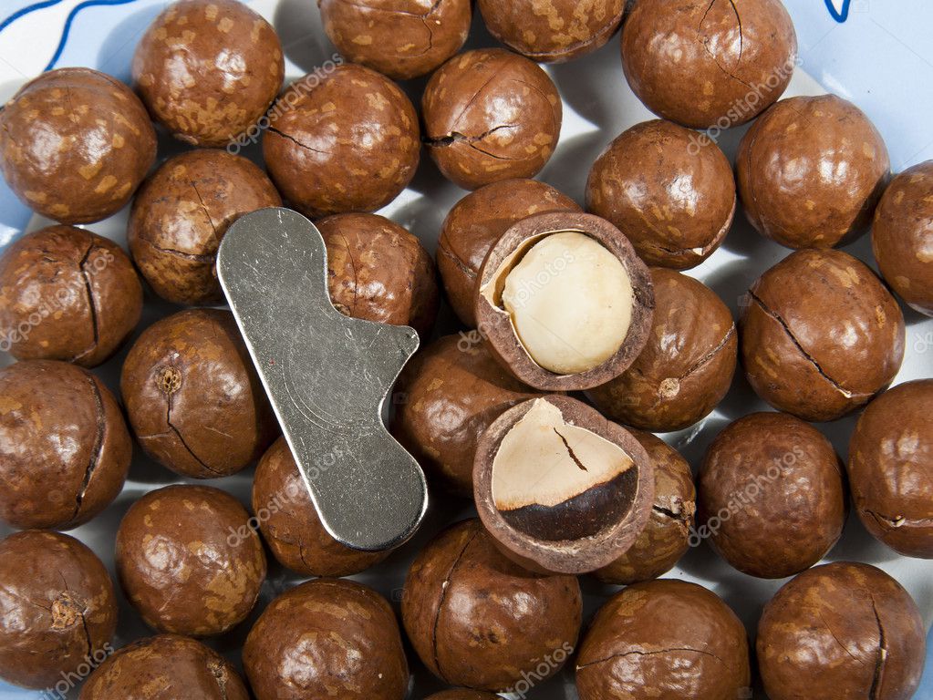 Open Macadamia nut shell by tool — Stock Photo © topstep07 4599782
