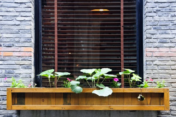 Wooden flower box in window