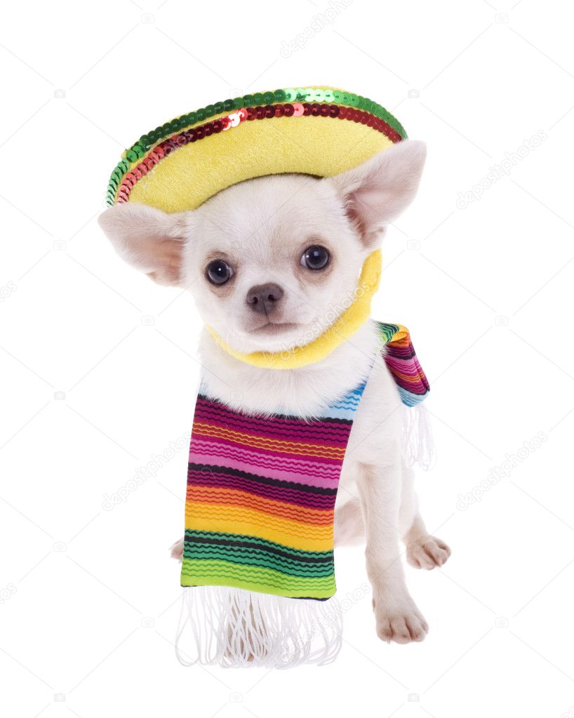 Puebla Dress, Mexican Peasant Dress, China Poblana History