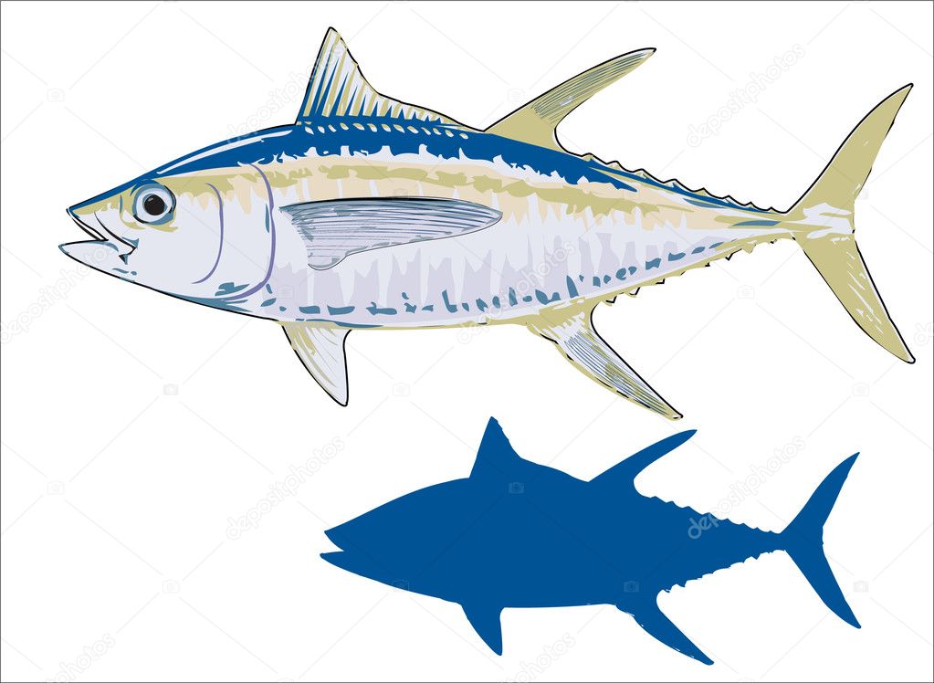 tuna vector