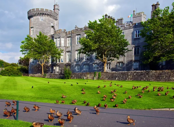 Capture of vibrant irish castle in county clare