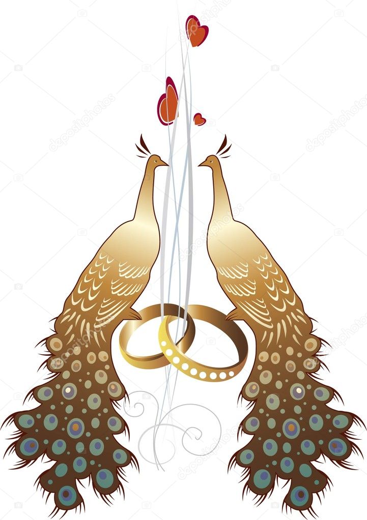 Ring heart wedding peacock love