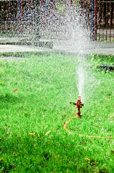 Sprinkler in the park