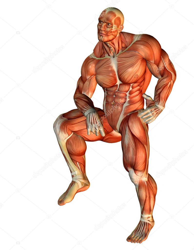 Muscle Body