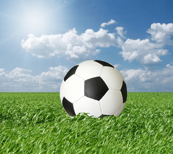 Soccer ball in green grass and blue cloudly sky