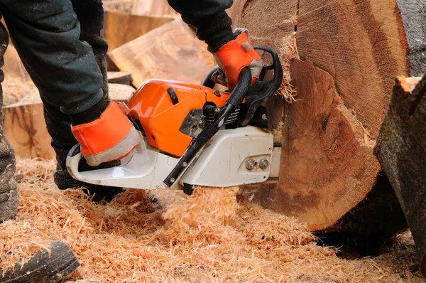 Logger with chainsaw.