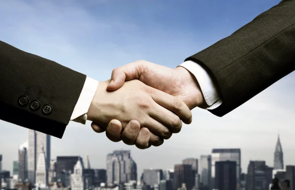 Business handshake — Stock Photo #5125344