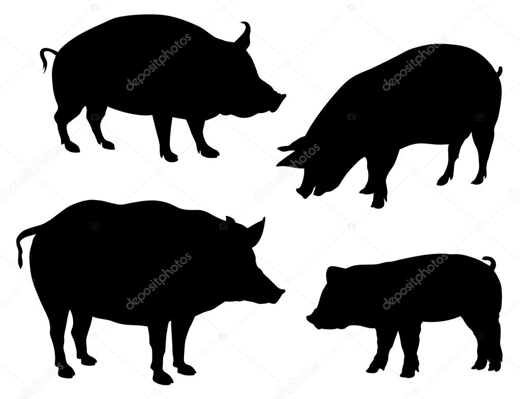 pig silhouettes