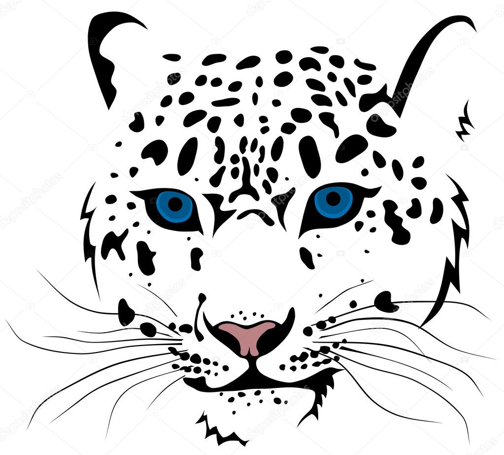 snow leopard clipart - photo #6