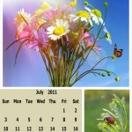 Month+2011+calendar