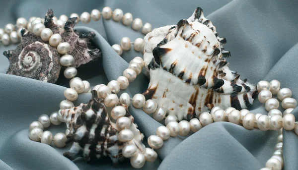 Three cockleshells and beads from natural sea pearls