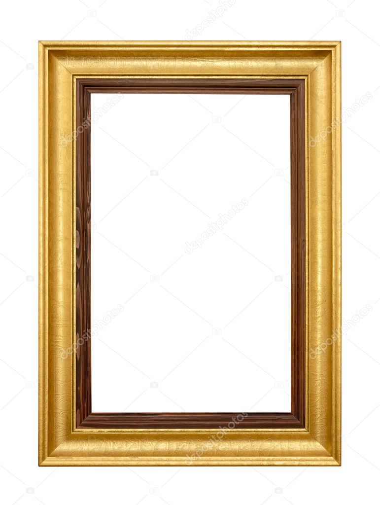 Elegant gold picture frame on white — Stock Photo © Smileus 5111834