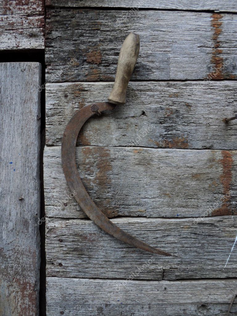 Old Wooden Shed — Stock Photo © parojamagic #4828154