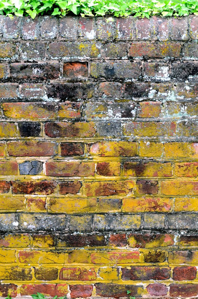 Different Colored Bricks