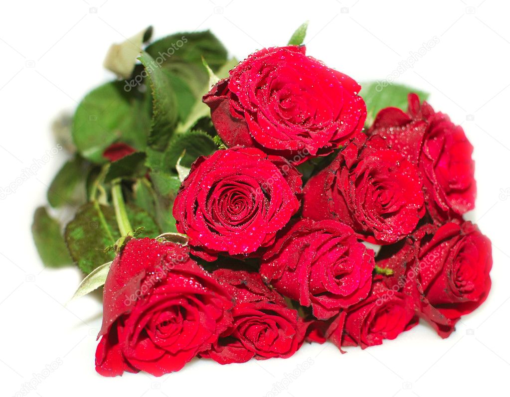 red roses bunches
