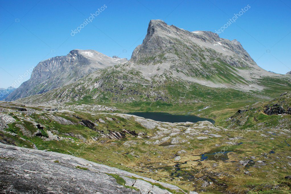 venner for livet møre og romsdal venner for livet møre og romsdal