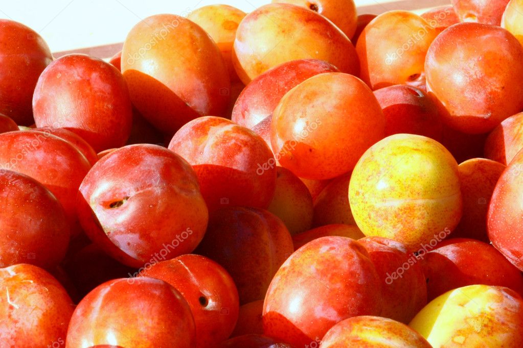 Red and yellow plums — Stock Photo © ELINA #4931510