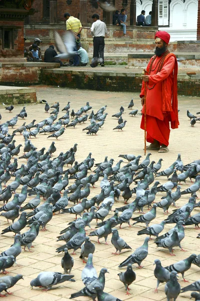Pigeons and a monk