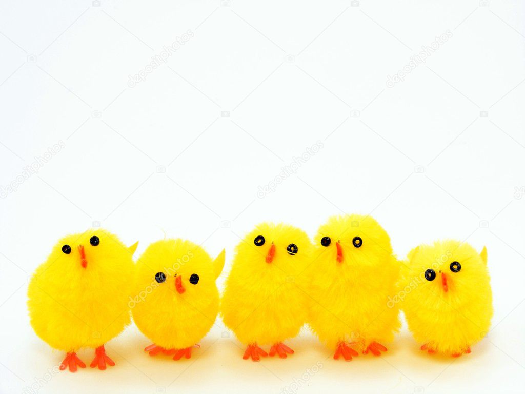 easter chicks pictures