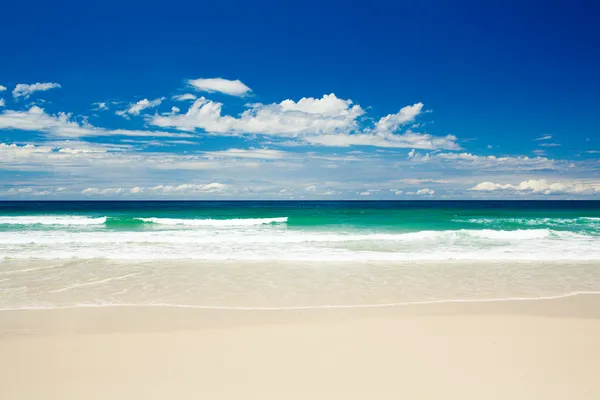 Tropical beach on sandy Gold Coast beach