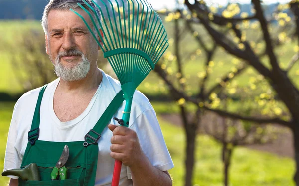 Portrait of a senior man gardening in his garden (color toned im