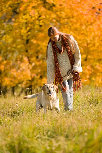 Autumn country - woman walk dog in meadow
