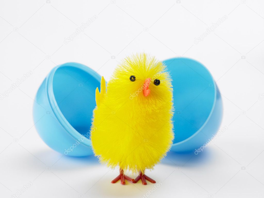 Easter Chick Hatching Out Of Egg — Stock Photo © monkeybusiness 