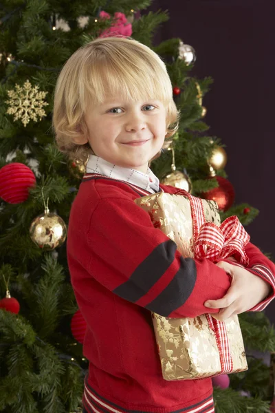 Young Boy Holding Gift In Front Of Christmas Tree — Stock Photo #4841009